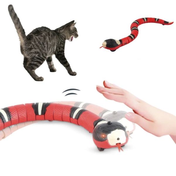 jeu de chat de serpent lec