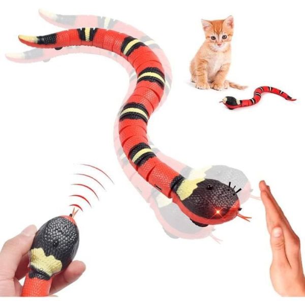 jouet serpent  dtection i