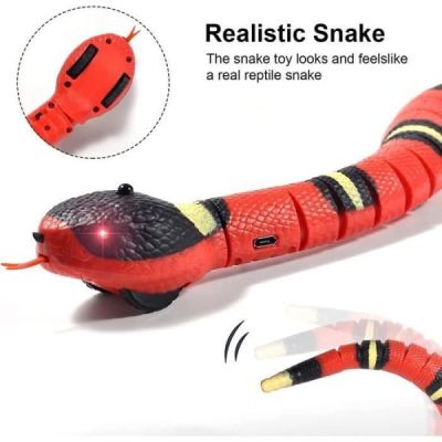 jouet serpent  dtection i