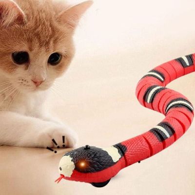 jouet serpent pour chat