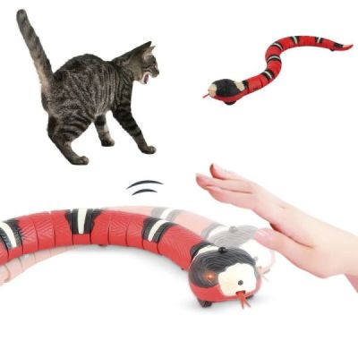 jeu de chat de serpent lec