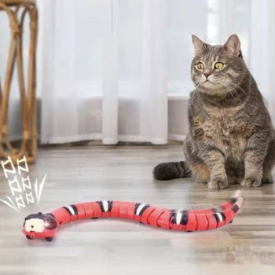 jeu de chat de serpent lec