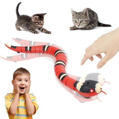 jeu de chat de serpent lec