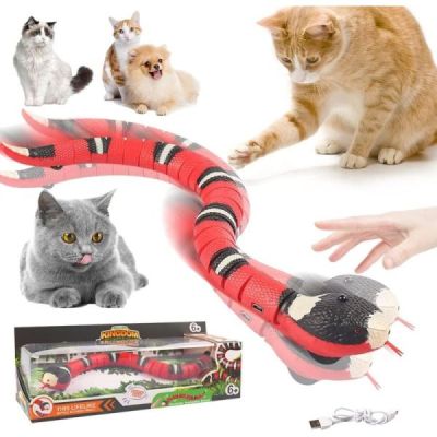 jouet serpent  dtection i