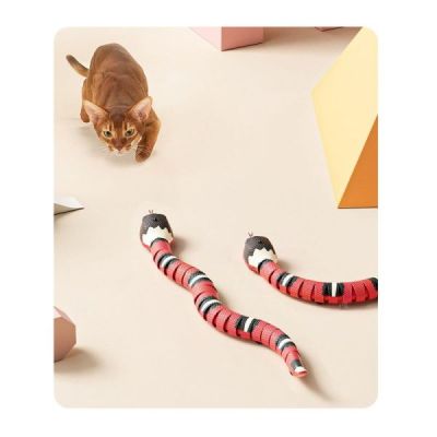 jouet serpent pour chat