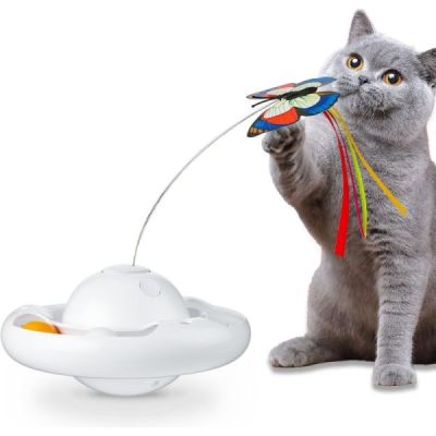 jouet interactif pour chat