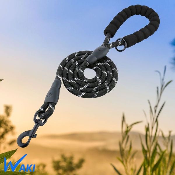 laisse laisse corde pour chien