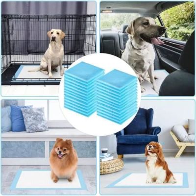 lot de 100 tapis educateurs