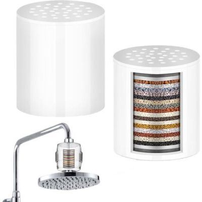 lot de 2 filtres de douche en