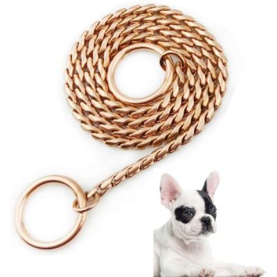 p chock chane chien collier3