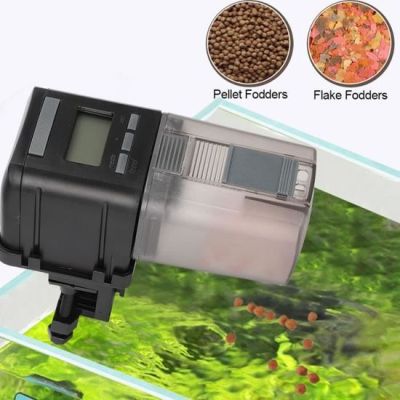 poisson distributeur aliment