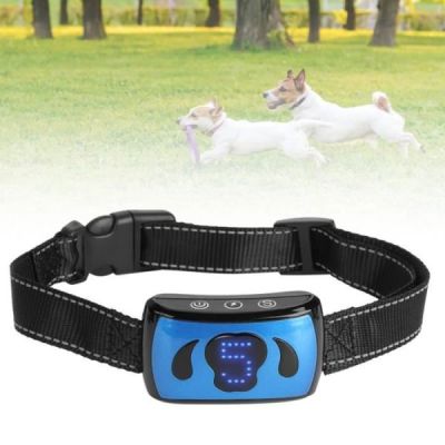 tmishion collier de dressage