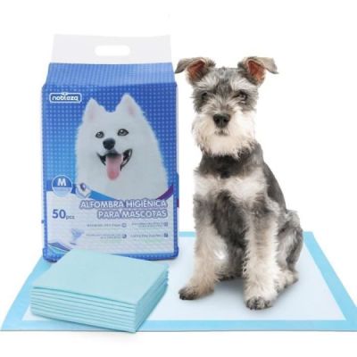 tapis dhygine pour chiens