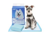 tapis dhygine pour chiens
