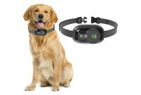 collier anti aboiement chien