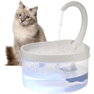 fontaine  eau pour chat avec