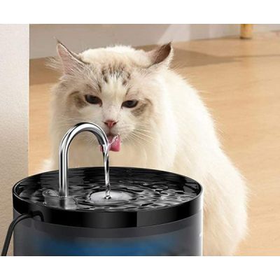 fontaine  eau pour chat avec