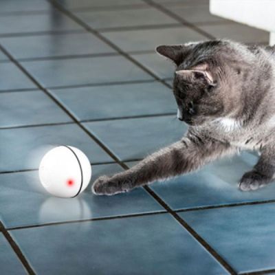jouet de chat boule de boul