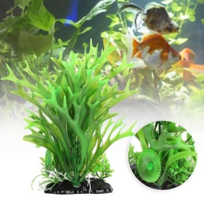 plante rservoir de poissons