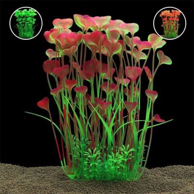 plante rservoir de poissons