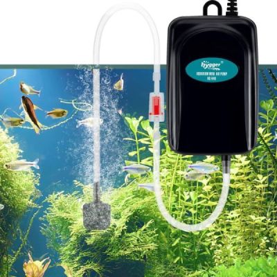 pompe  air daquarium