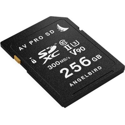 angelbird sdxc 256 go uhs-ii 1133x (170mb/s)