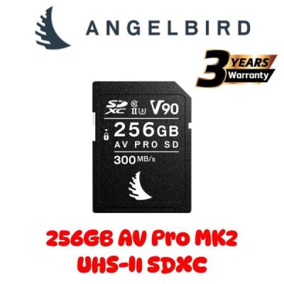 angelbird sdxc 256 go uhs-ii 1133x (170mb/s)