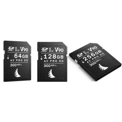 ANGELBIRD SDXC 256 GO UHS-II 1133X (170MB/S)