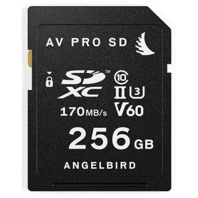 ANGELBIRD SDXC 256 GO UHS-II 1133X (170MB/S)