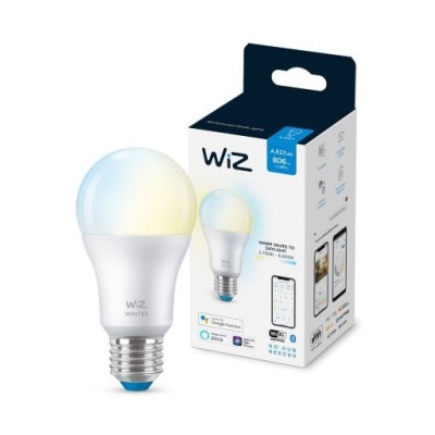 AMPOULE MODERNE Ampoule 60W A60 E27 | WiZ