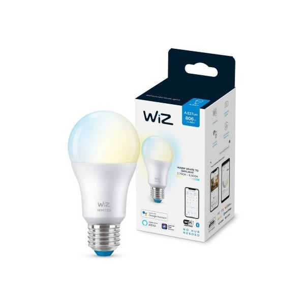 AMPOULE MODERNE Ampoule 60W A60 E27 | WiZ
