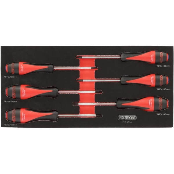 Module de tournevis ULTIMATE TORX®, 6 pièces