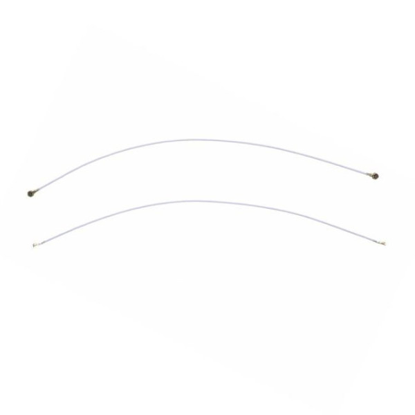 Câble antenne Samsung Galaxy Note 10 Lite (N770F) (113mm)