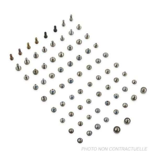 Kit de vis iPhone 11 Pro Max